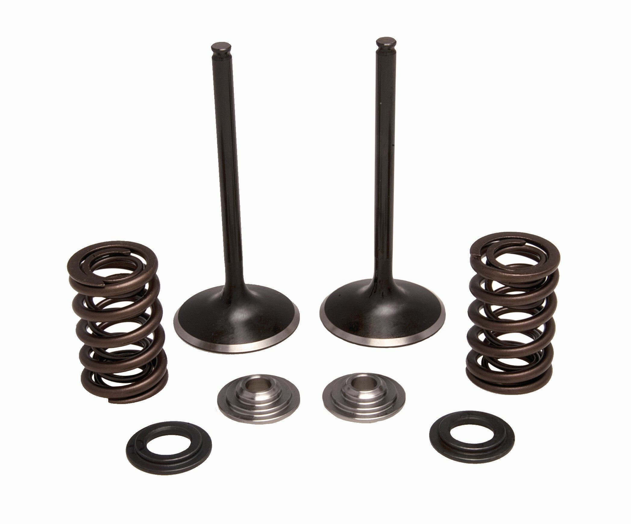 Intake Valve/Spring Kit Stainless