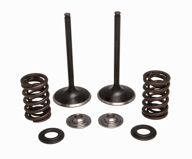 Intake Valve/Spring Kit Stainless