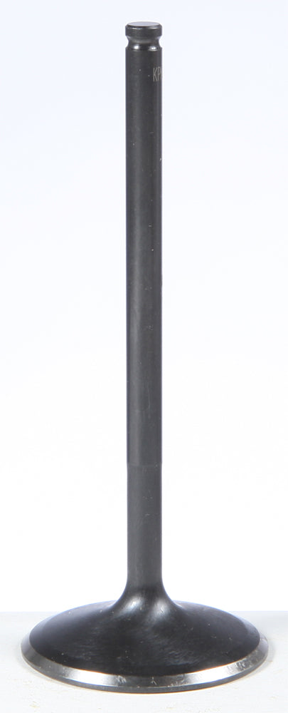 Black Diamond Intake Valve
