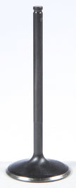 Black Diamond Intake Valve