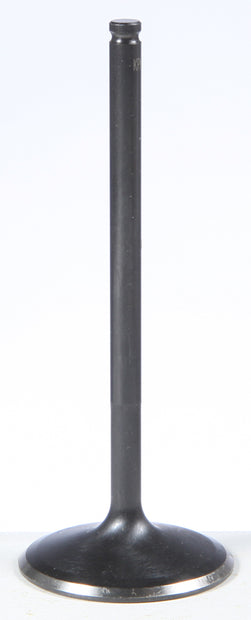 Black Diamond Intake Valve