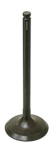 Exhaust Valve