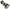 Camshaft   High Performance