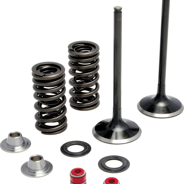 Intake Valve Spring Kit