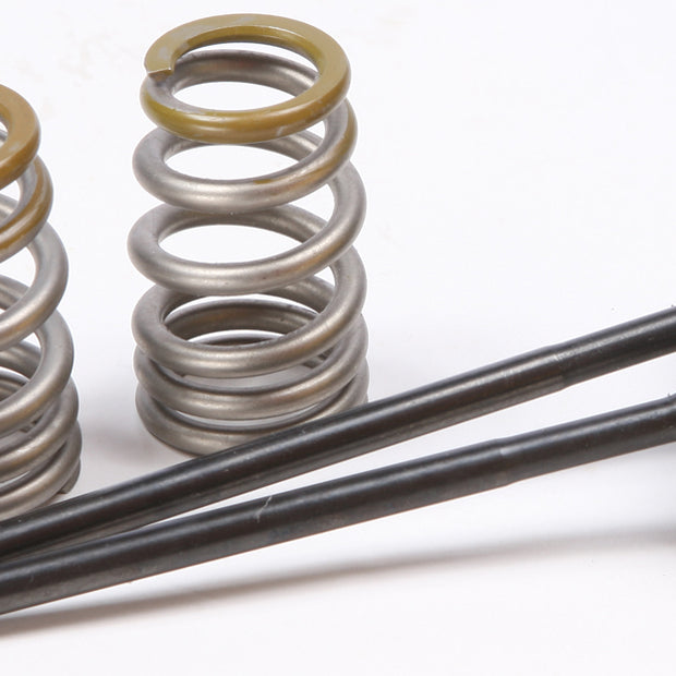 Intake Valve Conversion Set Ti Steel Ktm