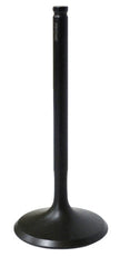 Intake Valve