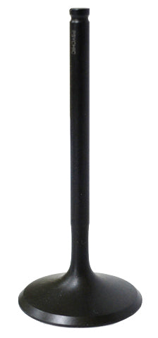 Intake Valve