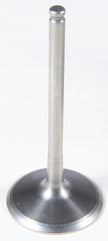 Intake Ti Valve
