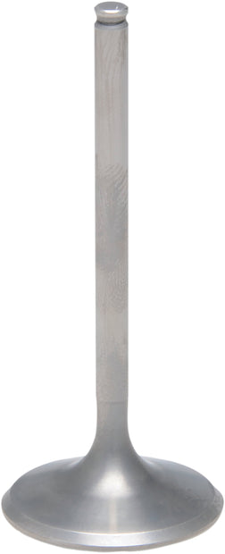 Intake Valve