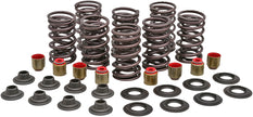 Racing Valve Spring Kit