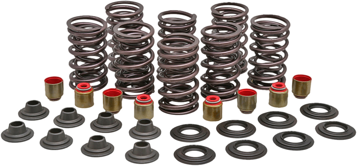 Racing Valve Spring Kit