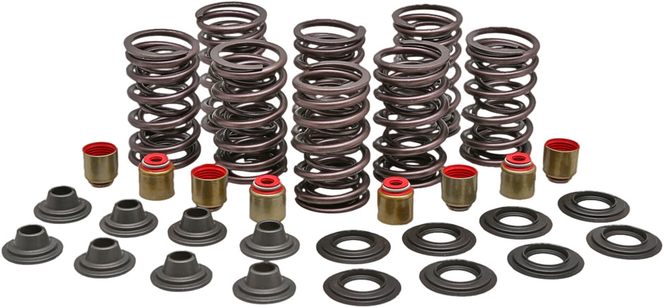 Racing Valve Spring Kit