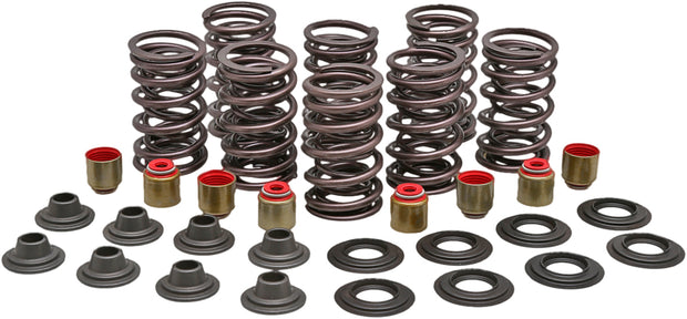 Racing Valve Spring Kit