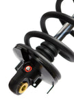 Ibp Factory Series 3.0