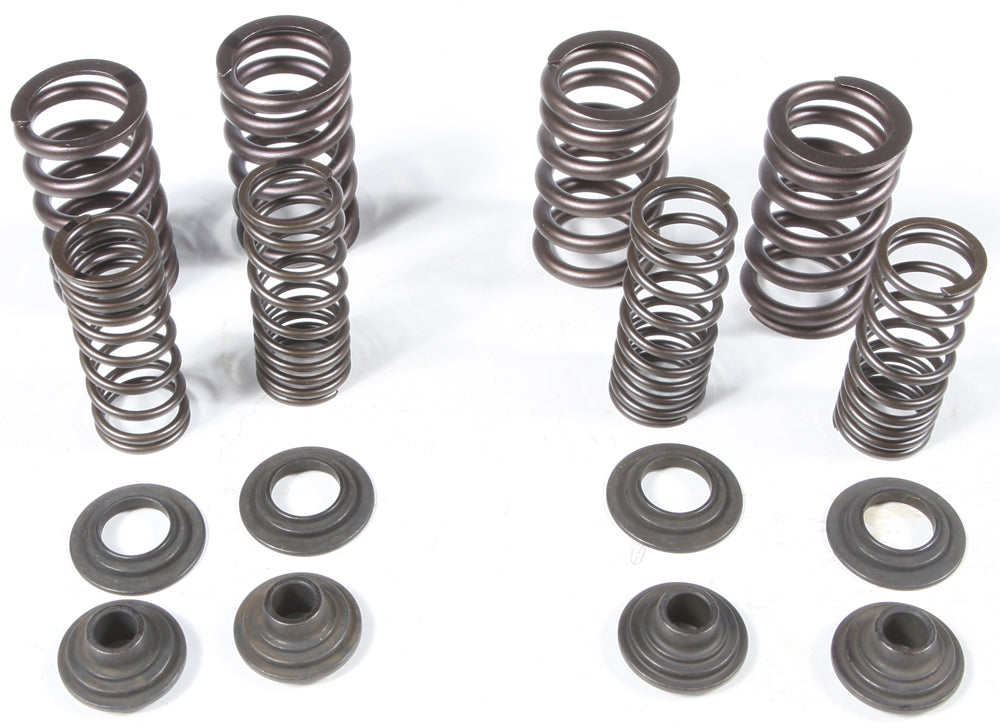 Racing Valve Spring Kit