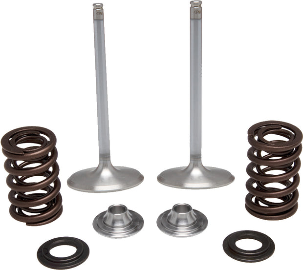 Intake Valve Spring Kit