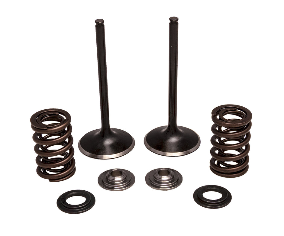 Intake Valve/Spring Kit Stainless Steel