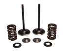 Intake Valve/Spring Kit Stainless Steel