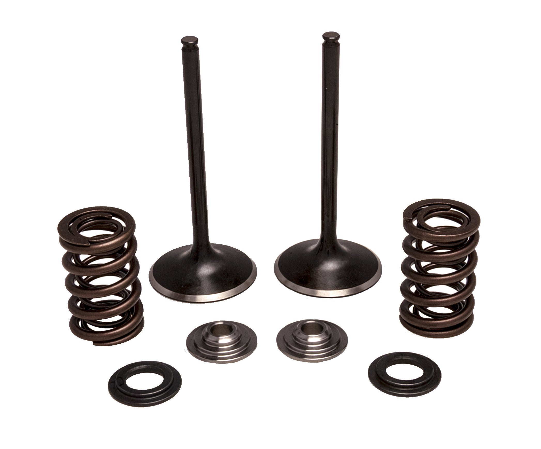Intake Valve/Spring Kit Stainless Steel