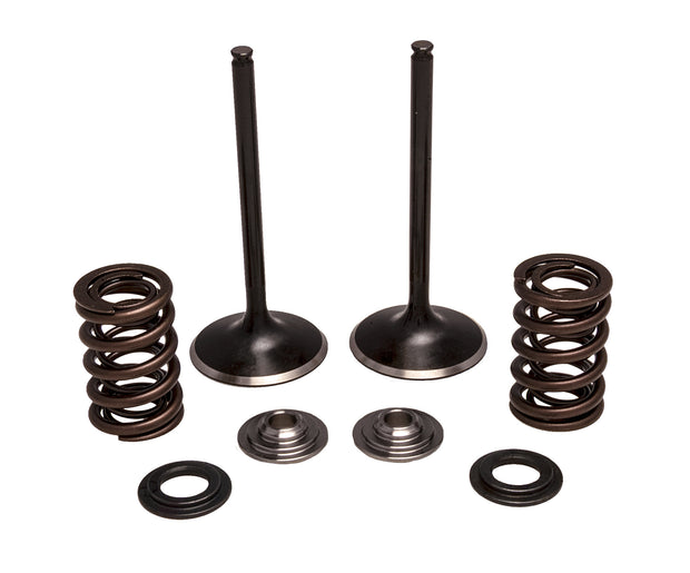 Intake Valve/Spring Kit Stainless Steel