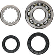 Main Bearing/Seal Kit