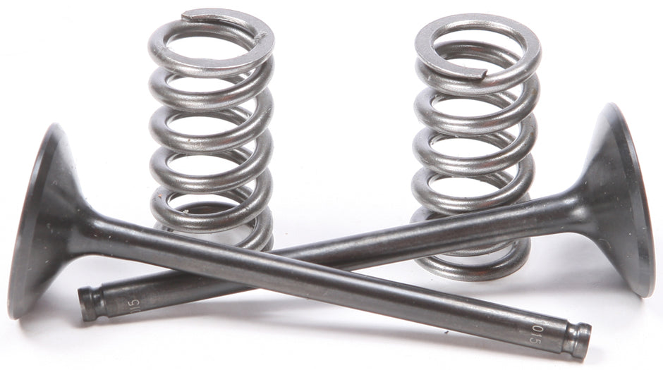 Exhaust Valve Conversion Set Ti Steel Yam