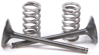 Exhaust Valve Conversion Set Ti Steel Yam