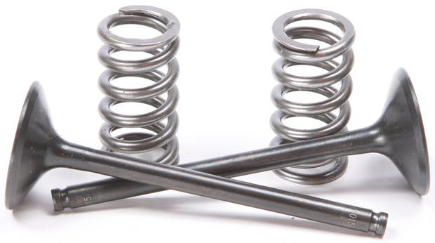 Exhaust Valve Conversion Set Ti Steel Yam