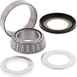 Tapered Steering Bearing