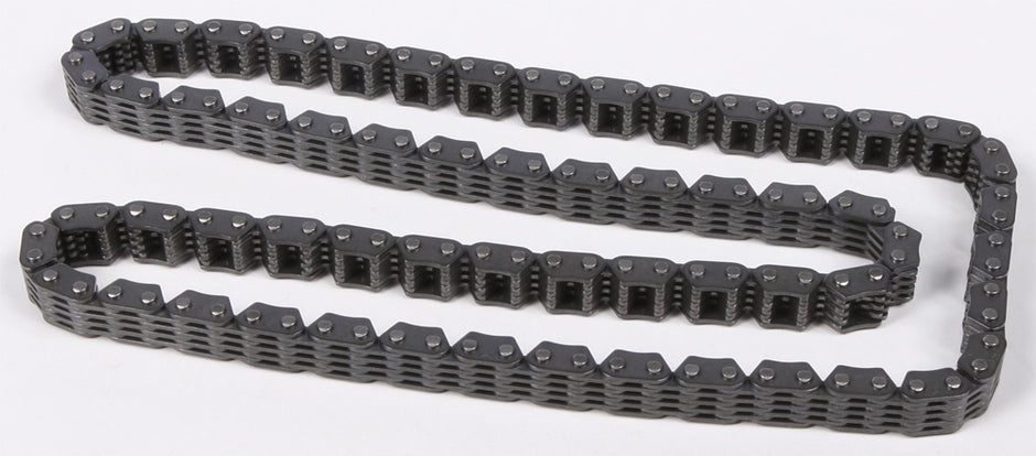 Cam Chain