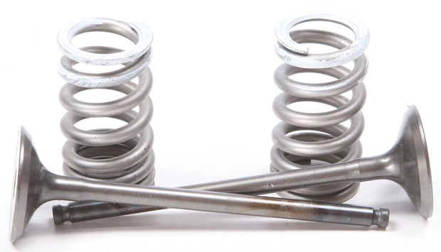 Exhaust Valve Conversion Set Ti Steel Suz