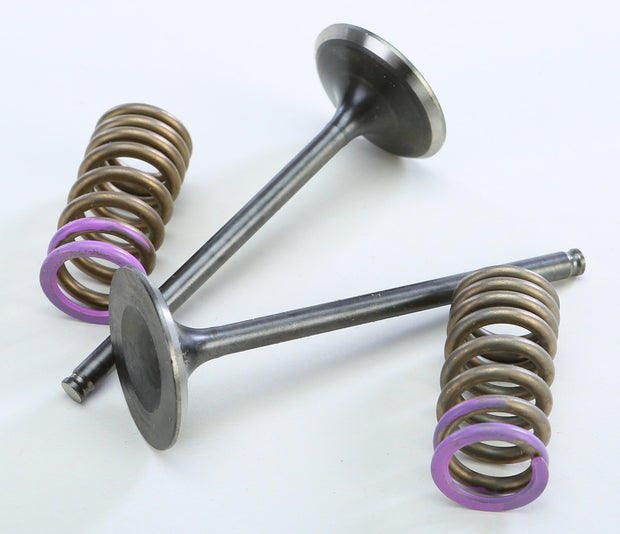 Intake Valve Conversion Set Ti Steel Hon