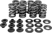 Racing Valve Spring Kit