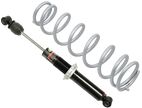 Gas Ski Shock W/ Spring Pol 27