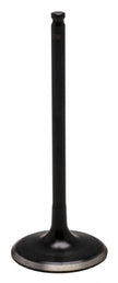 Black Diamond Intake Valve