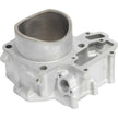 Cylinder Only Rear 85.00/Std Kaw