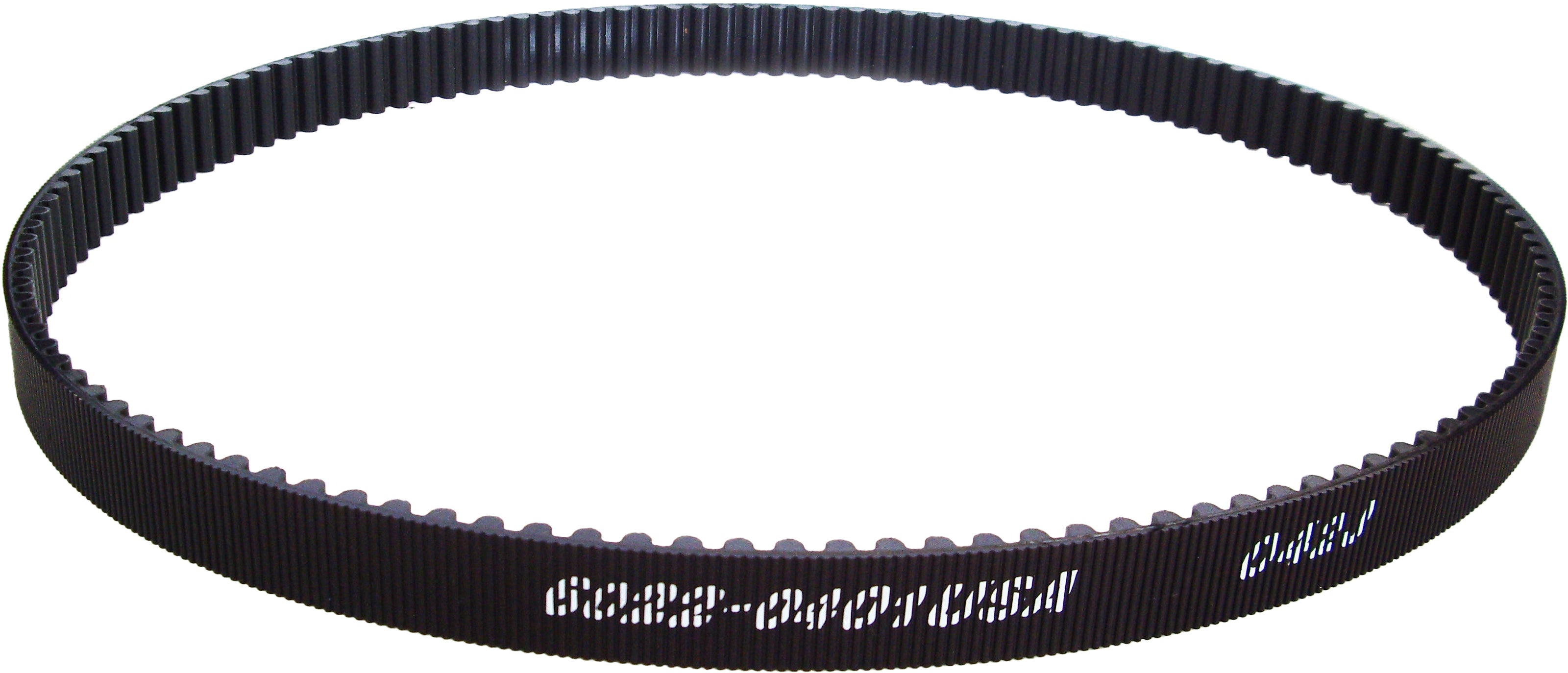 Belt Carbon Rear Drive 1.5