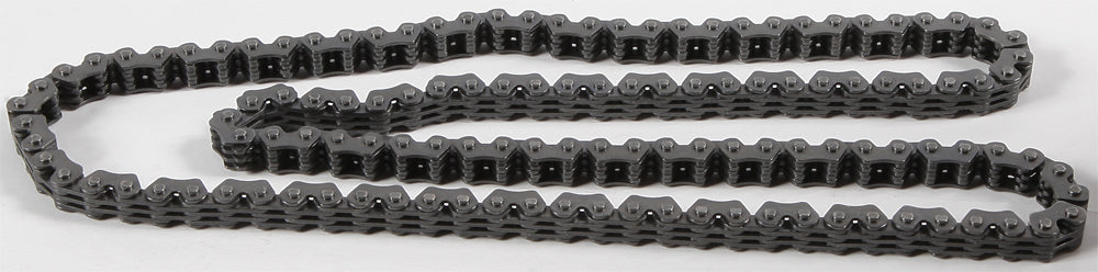 Cam Chain