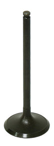 Intake Valve