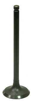 Intake Valve