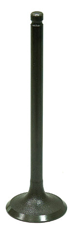 Intake Valve