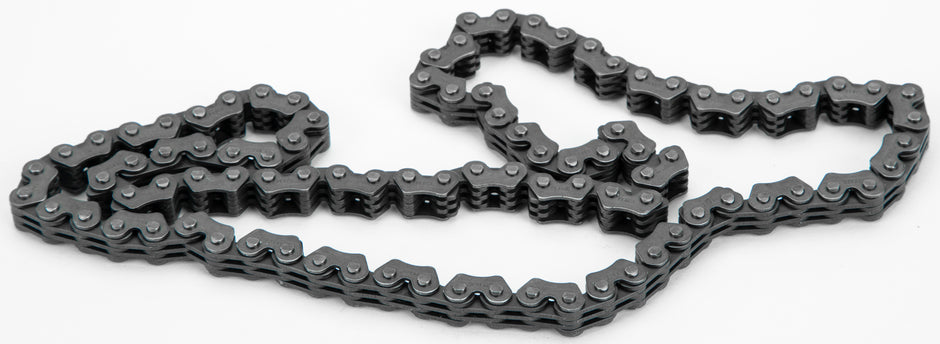 Cam Chain