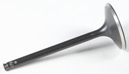 Black Diamond Intake Valve