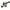 Dual Radio Rocker Switch